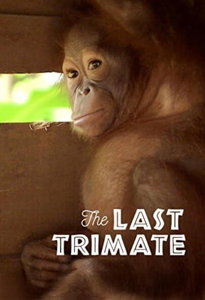 THE LAST TRIMATE - Poster THE LAST TRIMATE - Poster