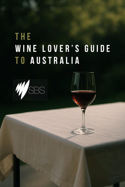 WINE LOVERS - Poster WINE LOVERS - Poster